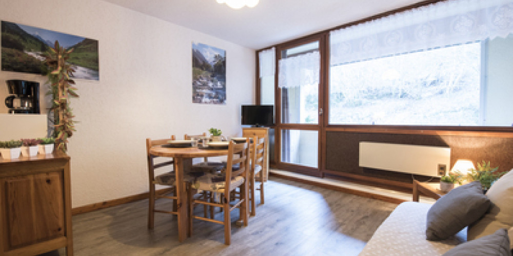 appartement à ST LARY SOULAN (65170)